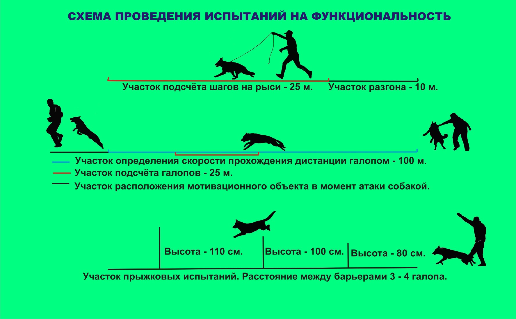 Качества собаки. Оценка рабочих качеств собак. Экспертиза рабочих качеств собак. Преодоление расстояния. Рабочие качества собаки определение.